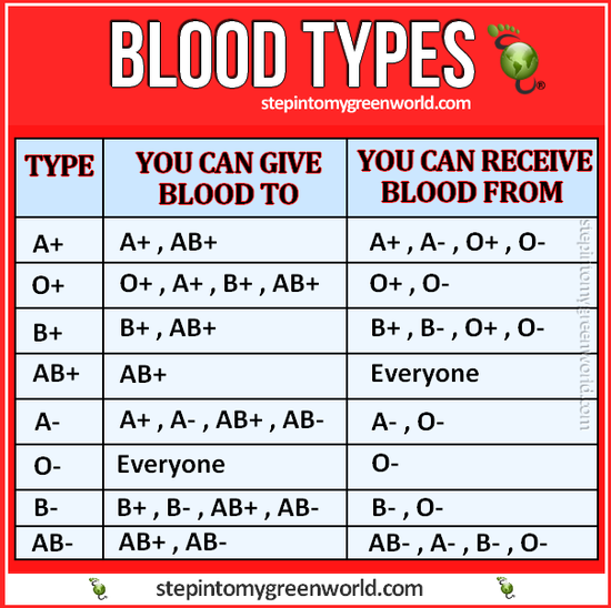 All you need to know about blood types and to whom you can ...