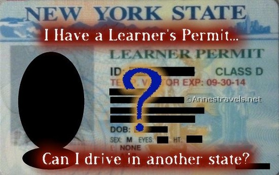 Out of State Learner Permit Laws - Anne's Travels