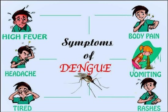 10 Dengue Symptoms You Mustn’t Ignore & What to Do Next ...