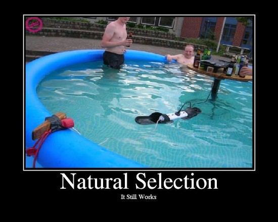 12 best images about Natural Selection at its Finest on ...