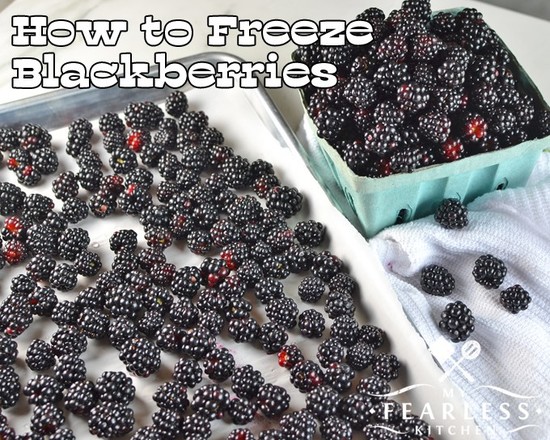 How to Freeze Blackberries - My Fearless Kitchen