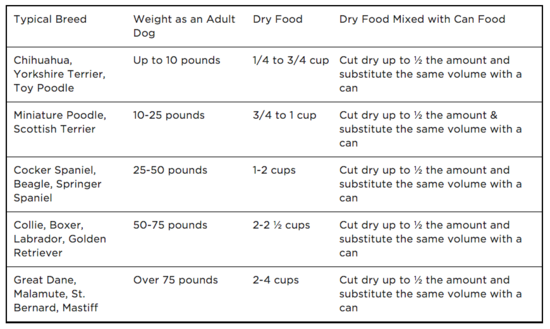 Dog Feeding Tips - How much and how often should I feed my ...