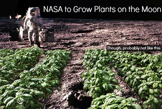NASA to Grow Plants on the Moon