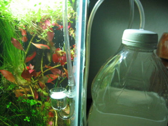 DIY co2 - The Planted Tank Forum