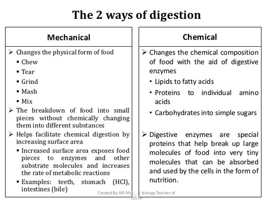 8 3. digestive system