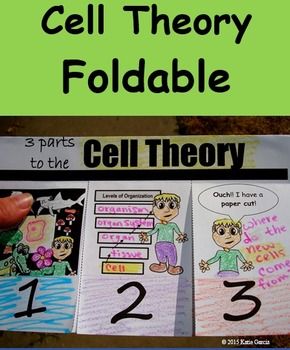 Cell Theory Foldable | Cell Theory, The 3 and Middle