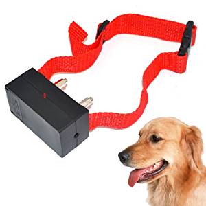 Amazon.com : Electronic Anti-Bark Dog Training Shock ...