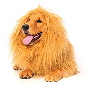Amazon.com : Lion Mane for Dog, Dogloveit Dog Costume with ...