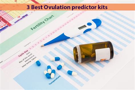 3 Best Ovulation predictor kits