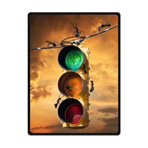 Amazon.com: Custom red green yellow brown traffic light ...