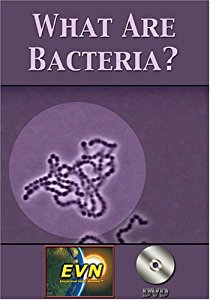 Amazon.com: What Are Bacteria? DVD: Artist Not Provided ...