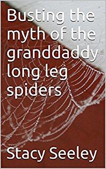Busting the myth of the granddaddy long leg spiders, Stacy ...