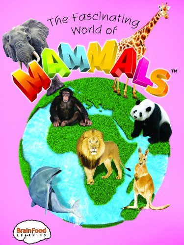 Amazon.com: The Fascinating World of Mammals: BrainFood ...