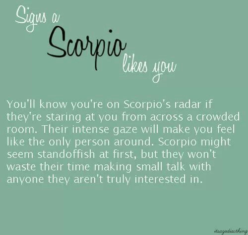 Signs a Scorpio likes you | Scorpio | Pinterest | The o ...