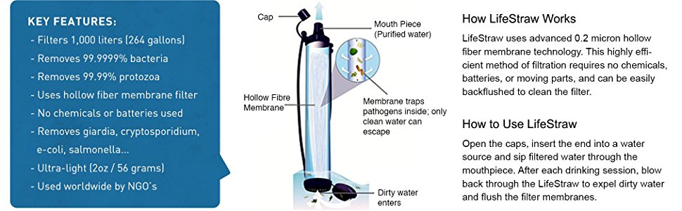 Amazon.com : LifeStraw Personal Water Filter for Hiking ...