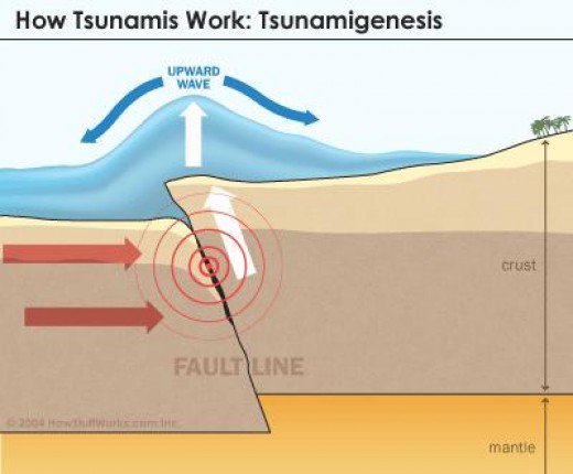 What Causes a Tsunami? | Owlcation