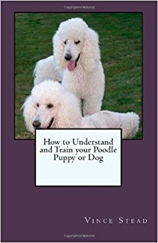 How to Understand and Train your Poodle Puppy or Dog ...
