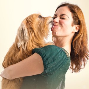 Amazon.com : NEW Vet Recommended - Dog Breath Freshener ...
