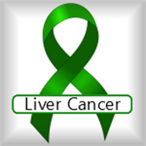 liver cancer ribbon color - 28 images - liver cancer ...