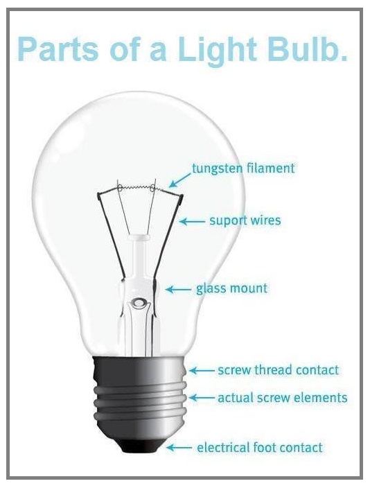 #Basics..Parts of a Light Bulb - EEE COMMUNITY
