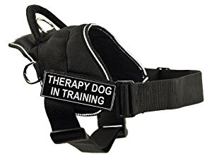 Pet Harnesses : Amazon.com: DT Fun Works Harness, Therapy ...