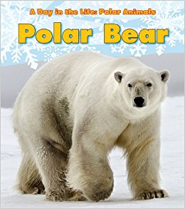 Polar Bear (A Day in the Life: Polar Animals): Katie ...