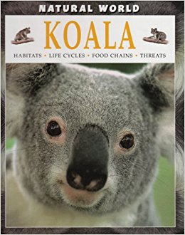 Koala (Natural World (Hardcover Raintree)): Michael Leach ...