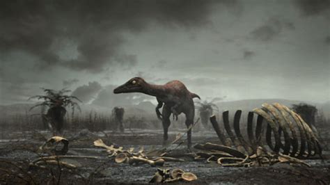 The Excact Date Of Dinosaur Extinction - Dinosaurs Forum