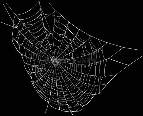 White spider web stock illustration. Illustration of ...