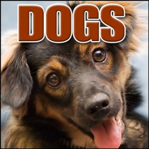 Animal, Dog - Large Dog: Golden Retriever: Barking Dogs ...