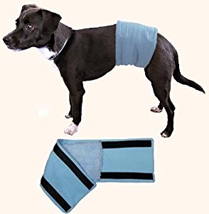 Amazon.com : Male Wrap, Dog Belly Band - Housetraining ...