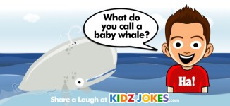 Shark Joke! What do you get when you cross a shark and a ...