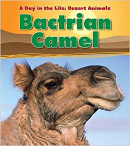 Bactrian Camel (Day in the Life. Desert Animals): Anita ...