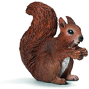 Amazon.com: Schleich Raccoon Toy Figure: Toys & Games