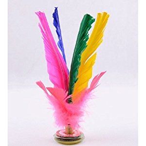 Amazon.com: H:oter Assorted Colors Feather Kicking ...