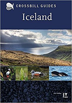 Iceland: Andy Jones: 9789491648038: Amazon.com: Books