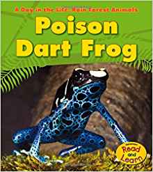 Amazon.com: Poison Dart Frog (A Day in the Life: Rain ...