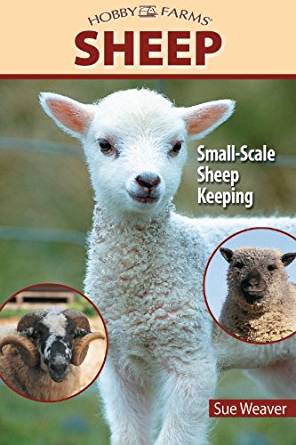 Sheep: Small-Scale Sheep Keeping For Pleasure And Profit ...