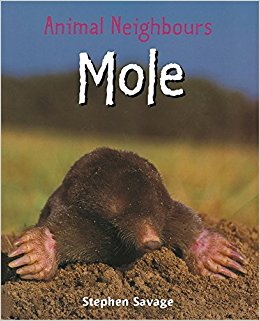 Mole (Animal Neighbours): Stephen Savage: 9780750250801 ...