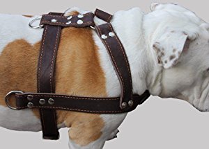 Amazon.com : Brown Genuine Leather Dog Pulling Harness 33 ...