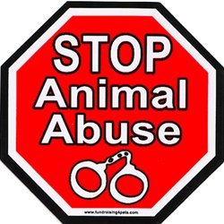 Amazon.com: Stop Animal Abuse Stop Sign Magnet: Pet Supplies
