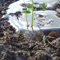 Diagnosing water repellence | Agriculture and Food