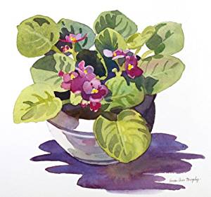 Amazon.com: African Violet, Giclee Print of Watercolor ...