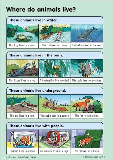 Where do different animals live? | Animal Homes ...