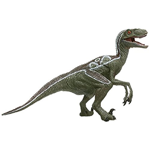 Raptor Dinosaur: Amazon.com