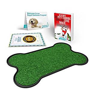 Amazon.com : Paw Prince Bone Shape Dog Potty Patch : Pet ...