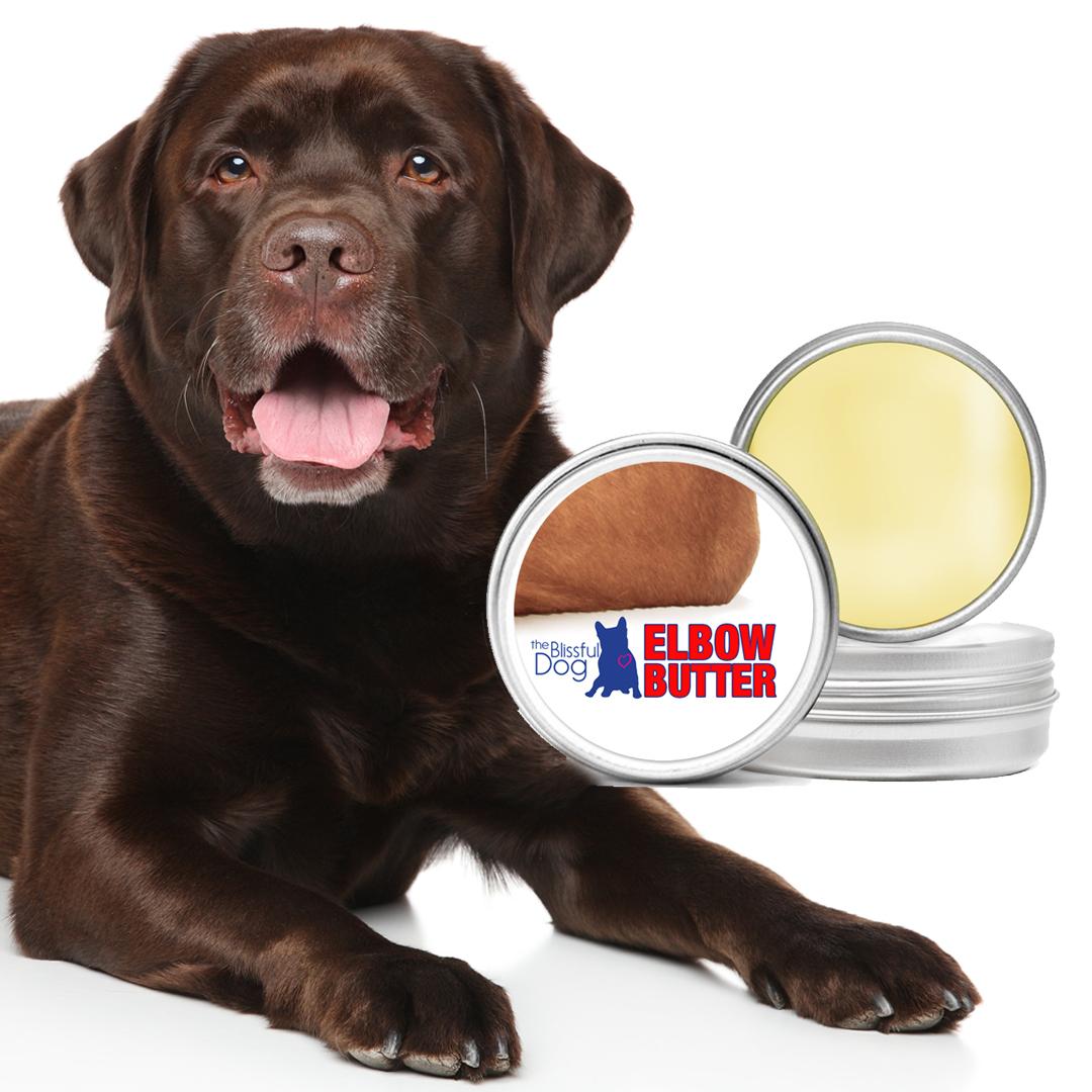 Amazon.com : The Blissful Dog Elbow Butter for Dog Elbow ...