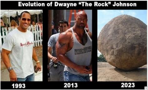 Die Entwicklung von Dwayne “The Rock” Johnson | Dwayne the ...