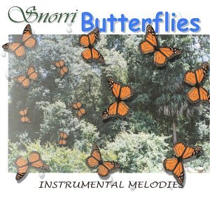 Snorri - Butterflies - Amazon.com Music