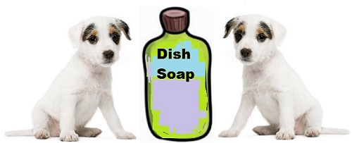 Can I use dish soap to wash my dog
